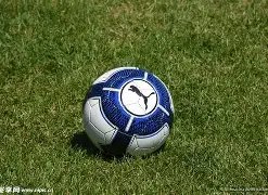 昨夜西甲战,果揭晓,今宵澳甲激,电竞竞猜官网,电子竞技竞猜平台,电竞竞猜官方网站,电竞体育竞猜平台