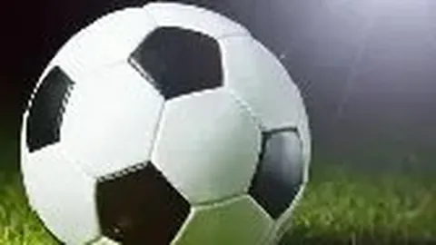 明星逃亡365天：最新章节揭晓