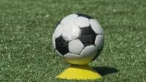 电竞竞猜官方网站 资讯 085210 wxd