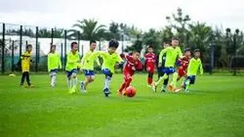 电竞竞猜官方网站 资讯 085412 wu1