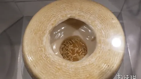 电竞竞猜官方网站 产品 083827 1kl