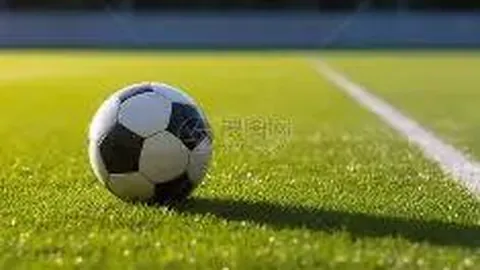 《智勇双全！B费展现超凡智商，谢什科绝杀瞬间铸就经典》