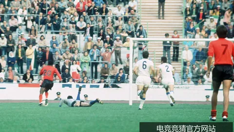 2026年优化策略：避雷指南，助你轻松提升排名